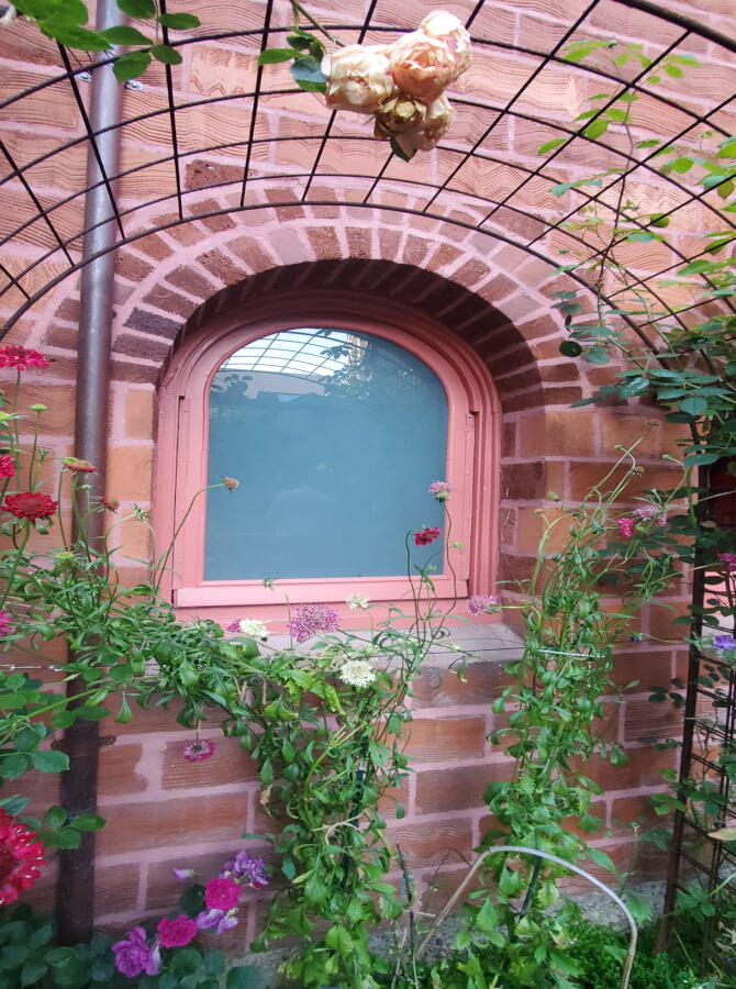 Professional Window Replacement Service