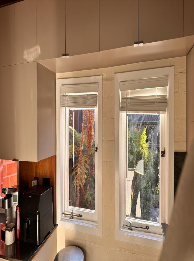 Professional Window Replacement Service